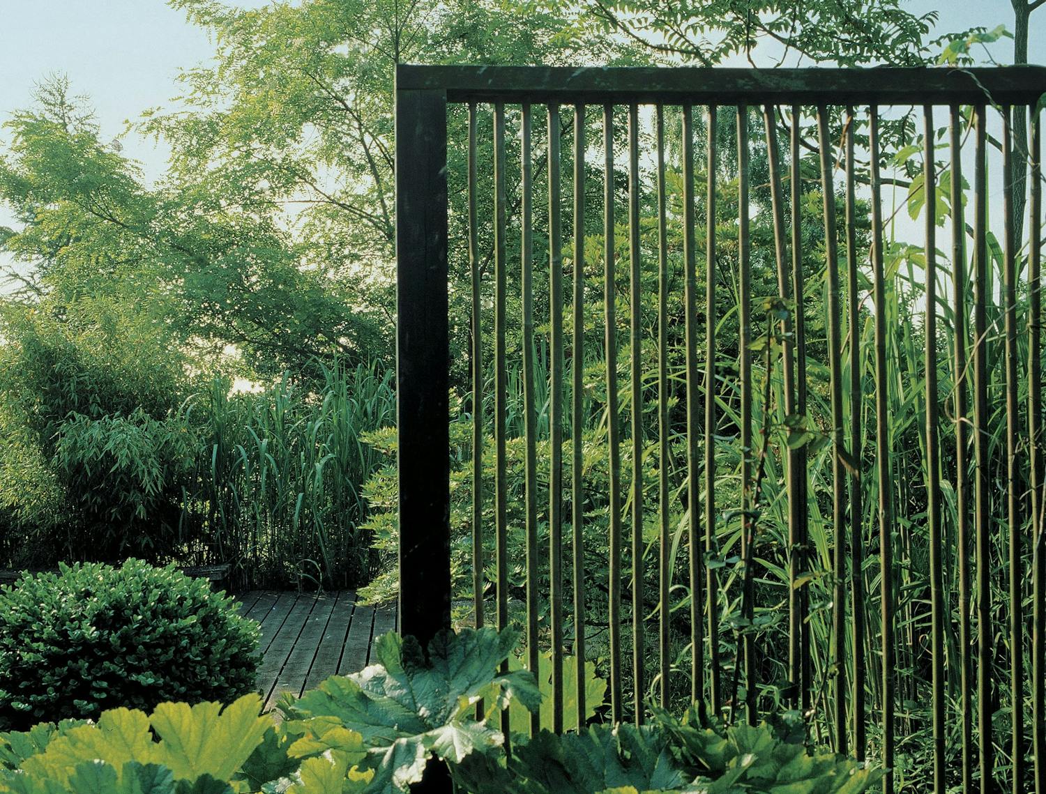 Smuk væg deler haven